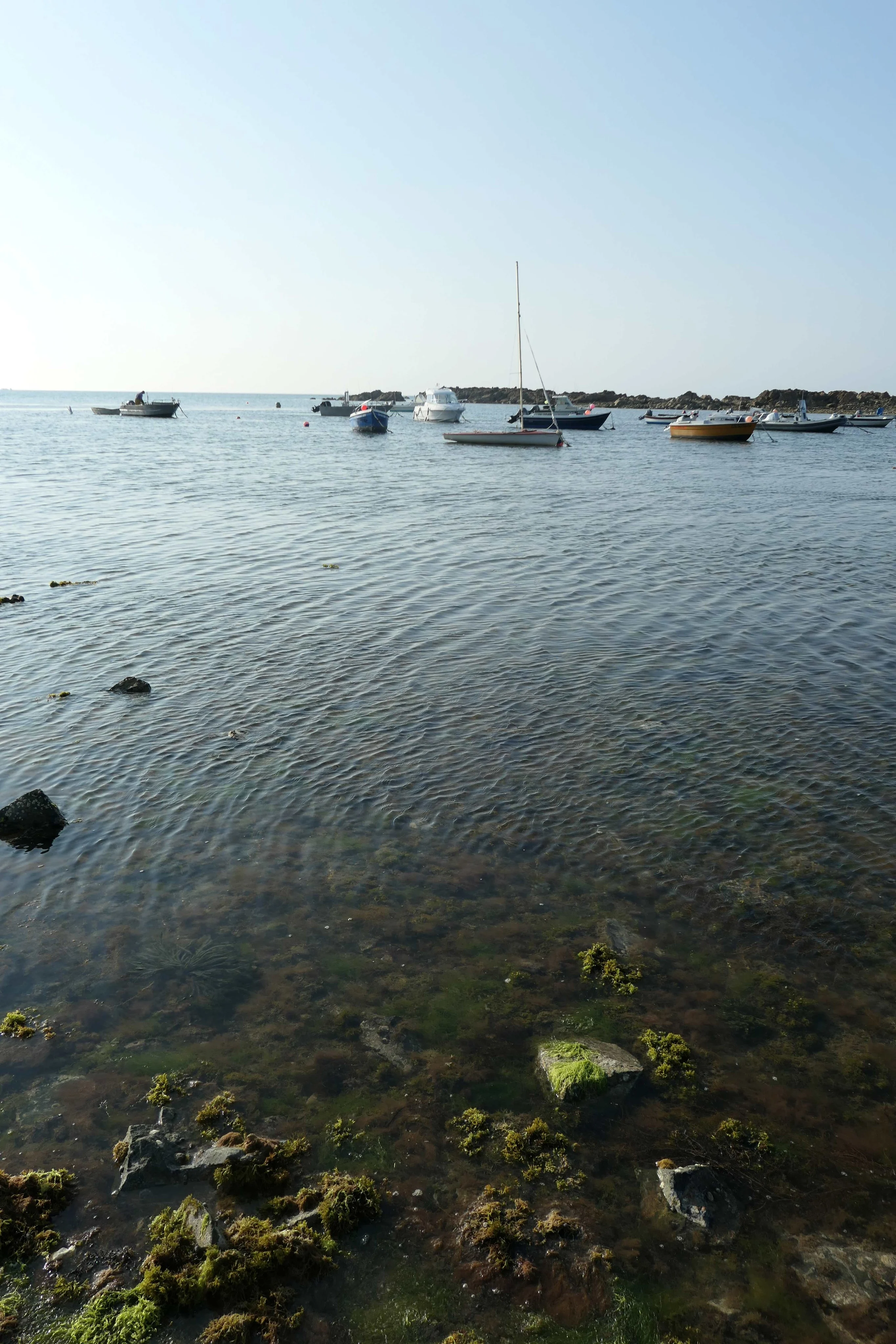 Le Caban (15)